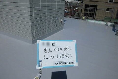 CIMG7019