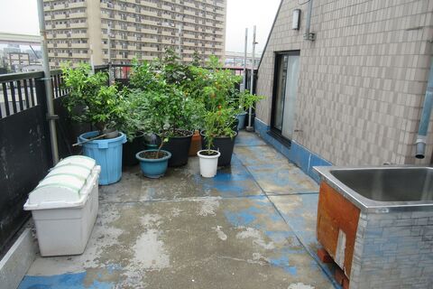 サニーハイツ綾瀬現状 004