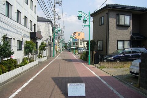 2009-8-20 003