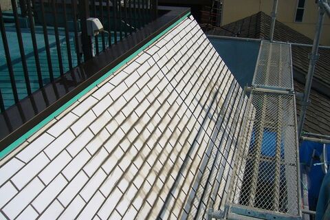 2010-10-06 045