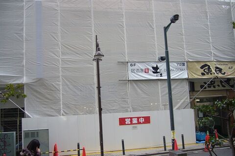 2010-01-18 020
