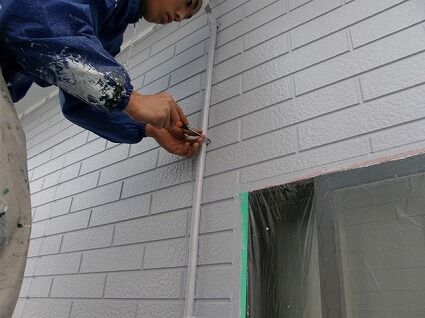 2010-02-25 027_1